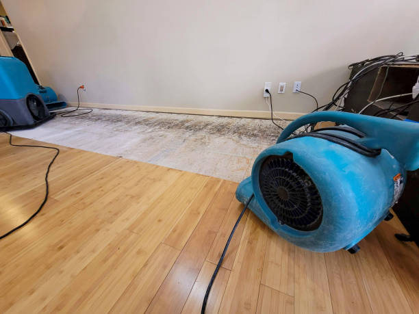 Professional Basement Flood Cleanup technician working in Norris, TN